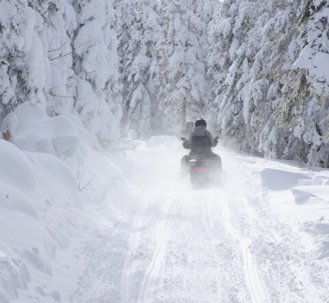 Snowmobiling in Whitefish Montana