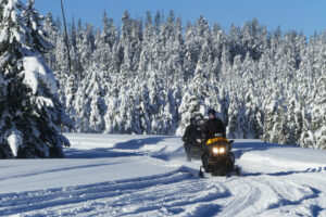 Make some great winter memories and try snowmobiling. Glacier Bear Condo